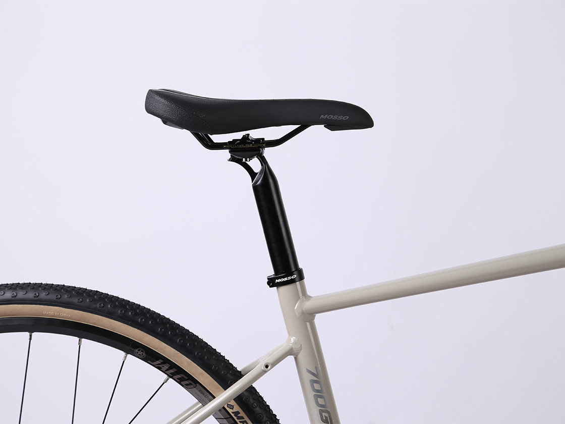 Bicycle Model R3013wmf DISPLAY